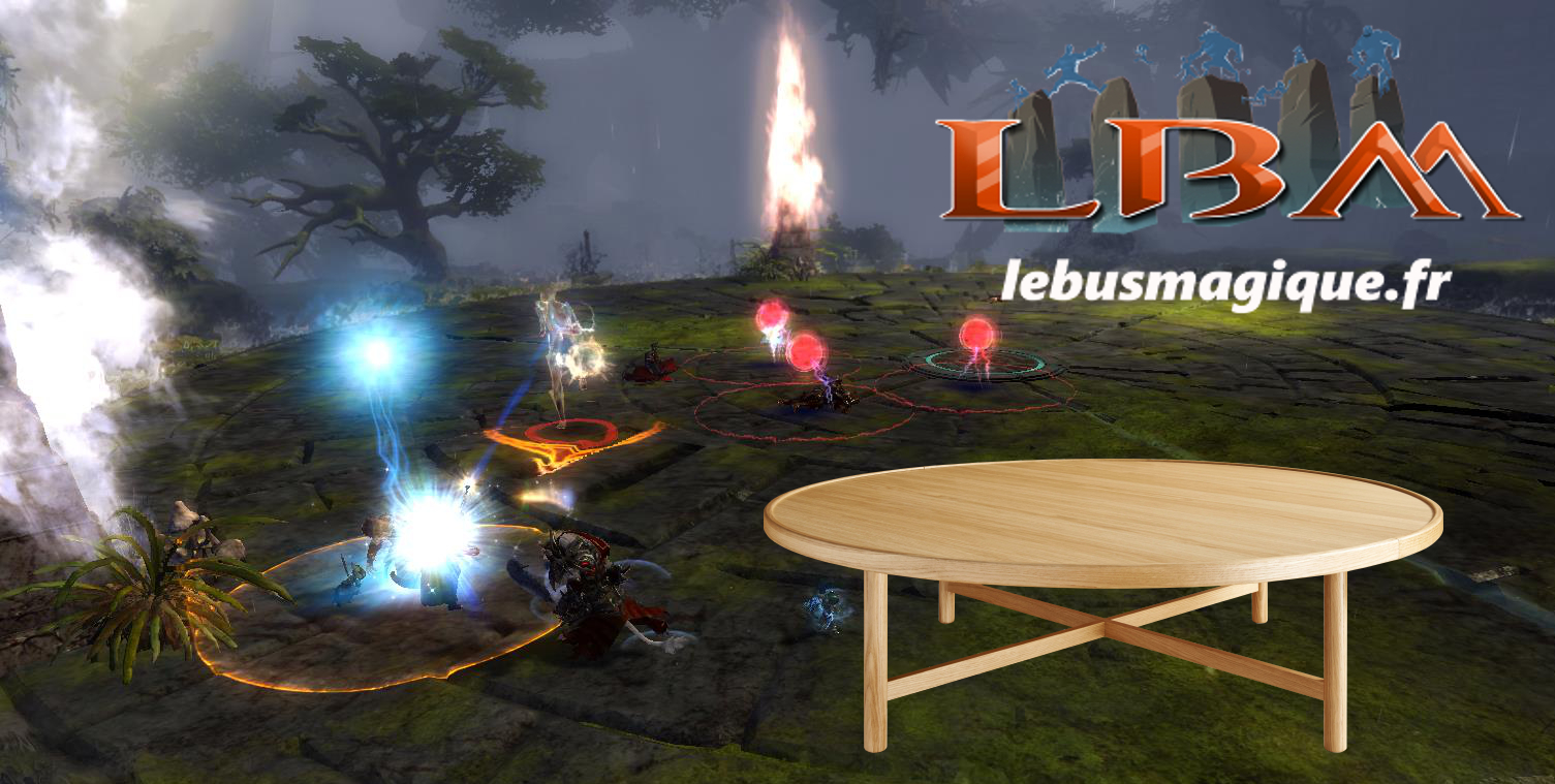 Table ronde sur les raids