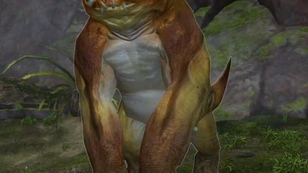 Le 2e raid arrive le 8 mars