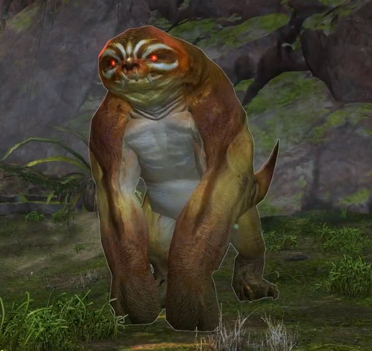 Le 2e raid arrive le 8 mars